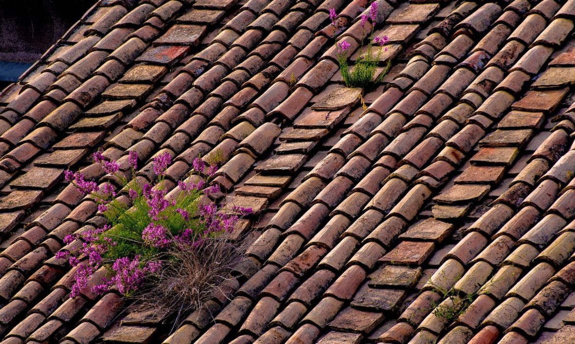2 façons de préserver l’étanchéité de votre toiture