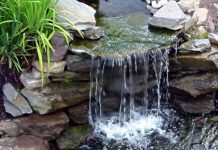 Cascade pour bassin de jardin : comment faire le bon choix ?