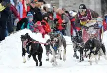 Visiter le Québec en hiver