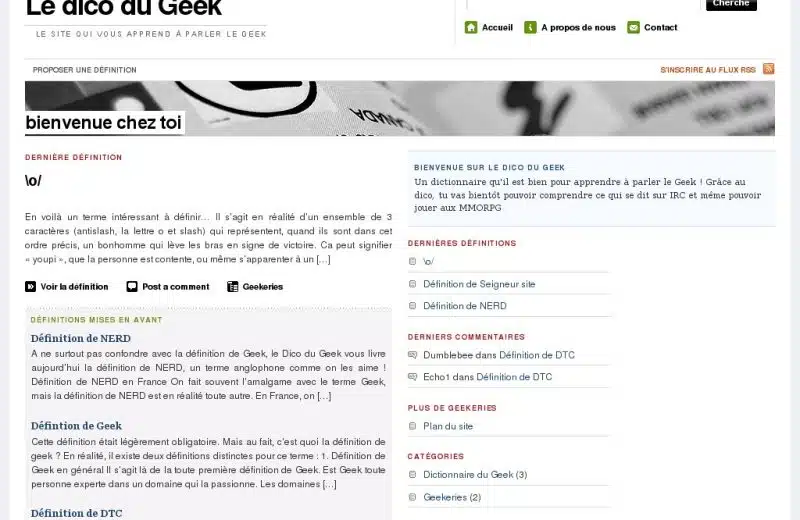 Dictionnaire Geek, apprenez à parler le Geek en ligne