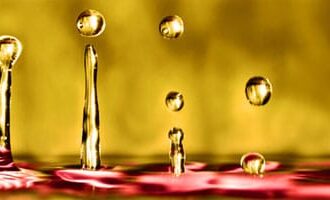 Aromathérapie & huiles essentielles