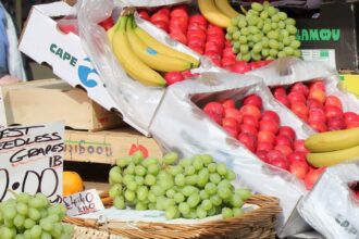 commerce-fruits-legumes