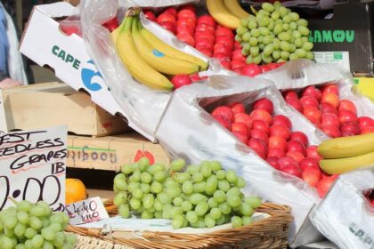 commerce-fruits-legumes