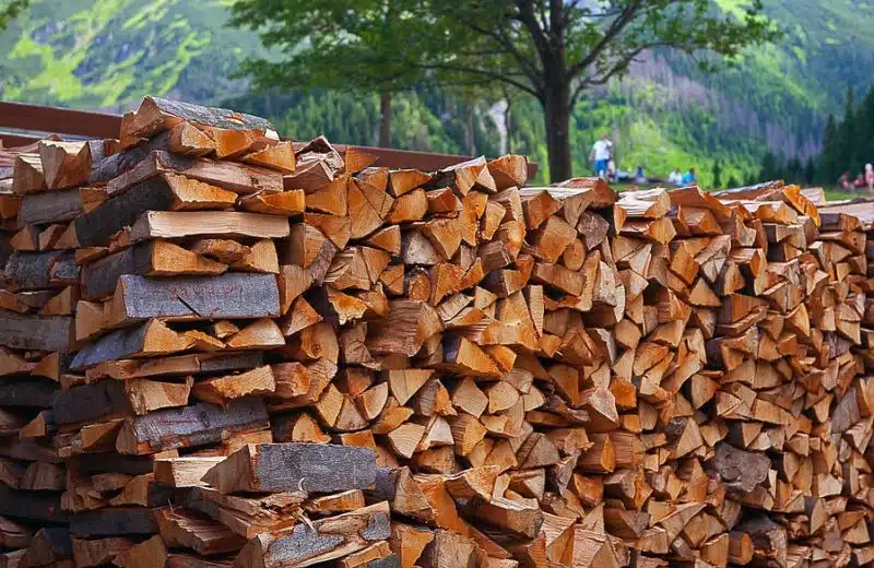 Poêle à bois : comment choisir un bois de qualité ?
