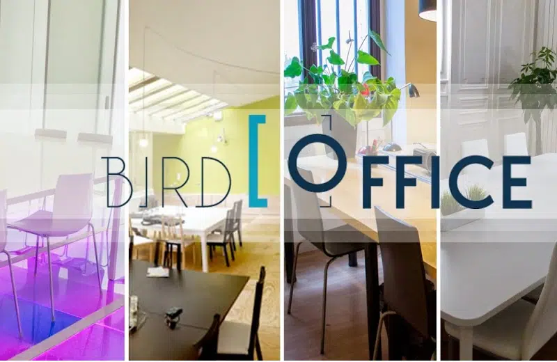Focus sur Bird Office, le Airbnb de la location de bureaux