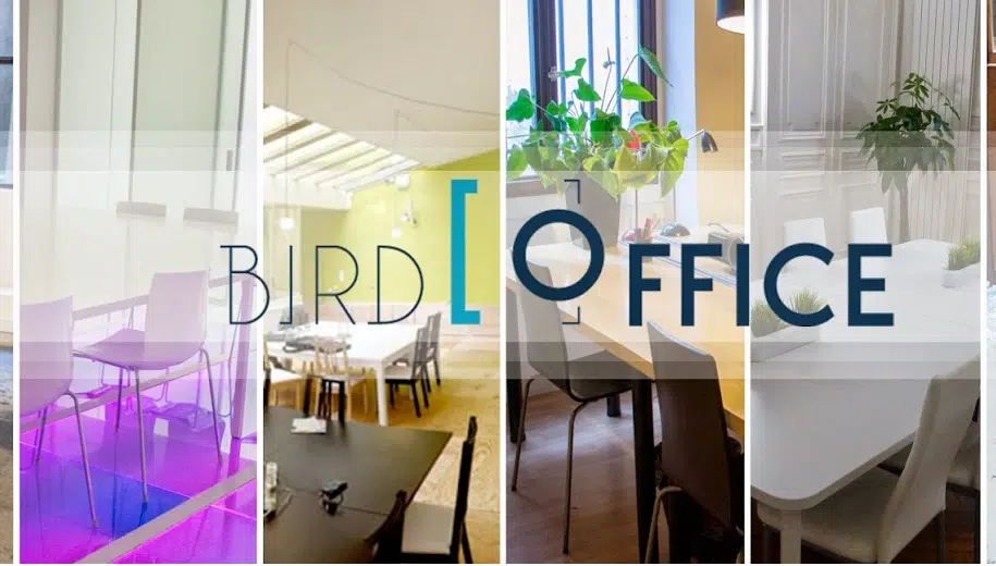 Focus sur Bird Office, le Airbnb de la location de bureaux
