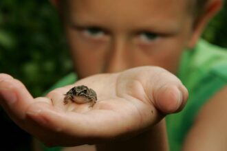 classes-vertes-enfants