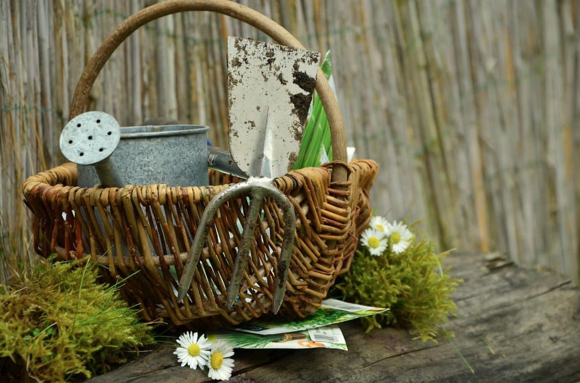 entretien du jardin