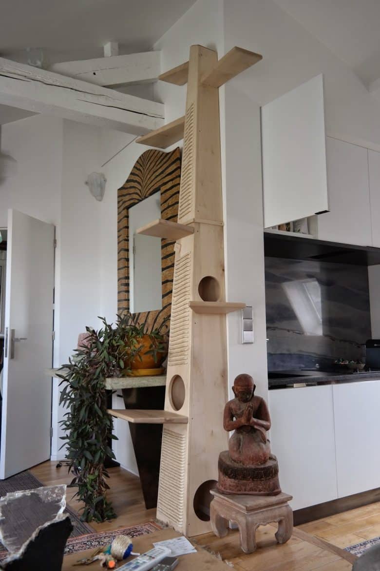 Pourquoi un arbre à chat estil indispensable