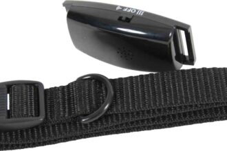 collier électrique chien