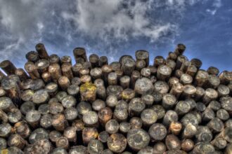 Maison à ossature bois: les 10 étapes de construction