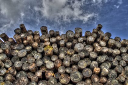 Maison à ossature bois: les 10 étapes de construction
