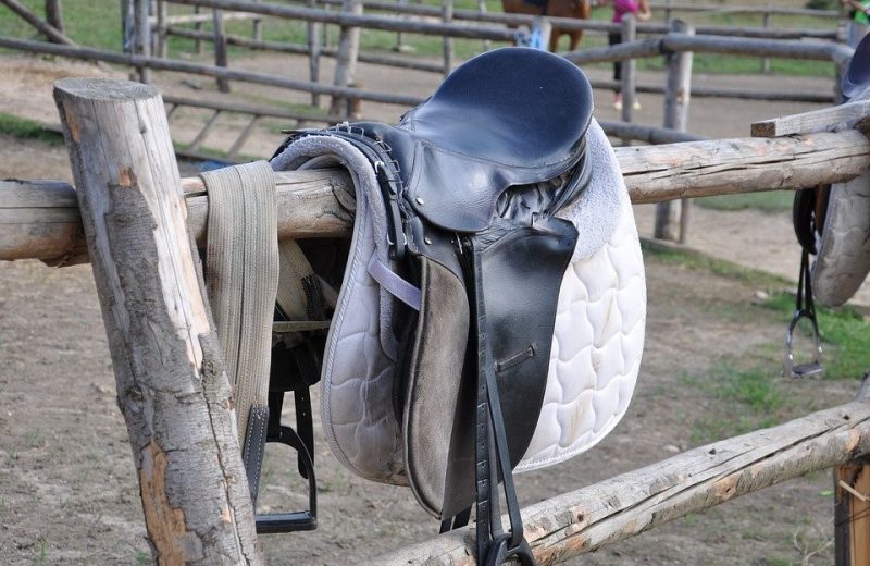Comment obtenir une selle d’équitation de bonne qualité ?
