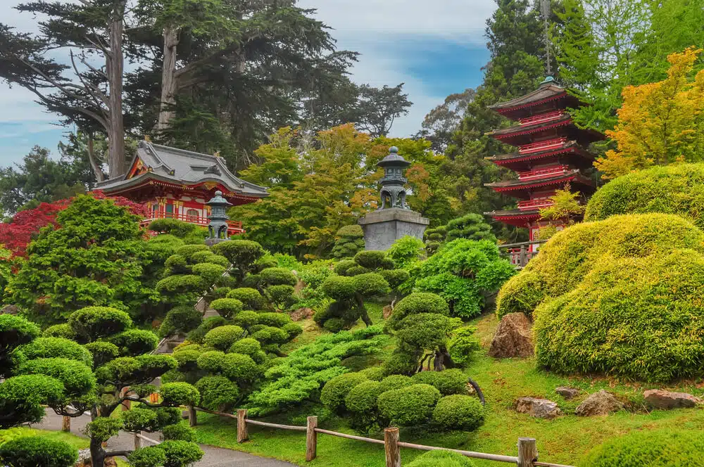 Les 10 arbustes emblématiques des jardins japonais : découvrez les petites merveilles végétales du Japon !