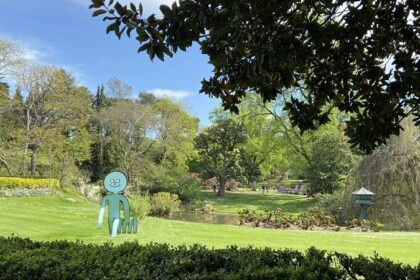 Les 10 arbustes emblématiques des jardins japonais : découvrez les petites merveilles végétales du Japon !