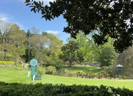 Les 10 arbustes emblématiques des jardins japonais : découvrez les petites merveilles végétales du Japon !