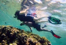Séjour balnéaire à Bali : 3 spots de snorkeling à privilégier