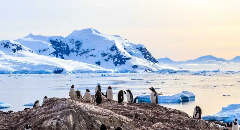Que faire lors d’un voyage en Antarctique ?
