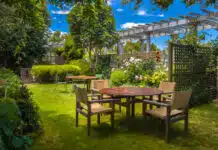 Comment ajouter une touche d’exotisme à votre jardin ?