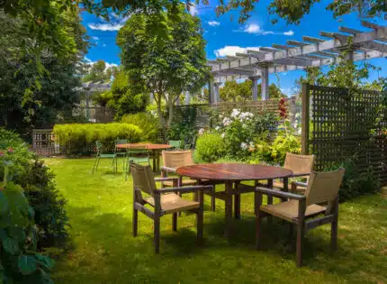 Comment ajouter une touche d’exotisme à votre jardin ?