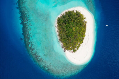 Black Friday : comment trouver les meilleures offres de voyage ?