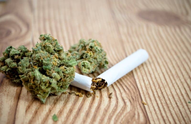Est-ce légal de fumer du CBD ?