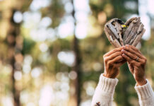 Créer un sanctuaire naturel pour un être cher : les lieux de mémoire