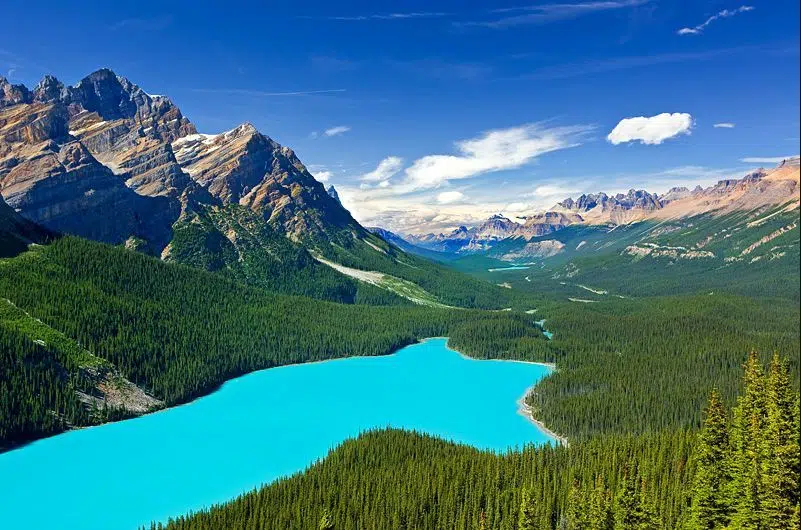 les_plus_beaux_lacs_du_monde_Peyto_Lake_Canada