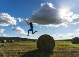 une personne dans un champ